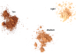 Preview: Armonia Pigmentmischung Medium - 10 g