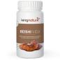Preview: Reishi Vida - Bio
